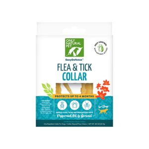 Odor-Destroying Carpet Powder